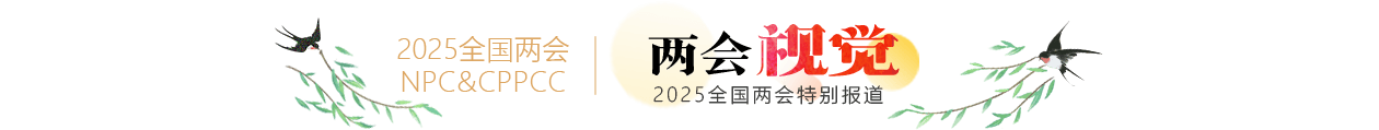兩會視覺